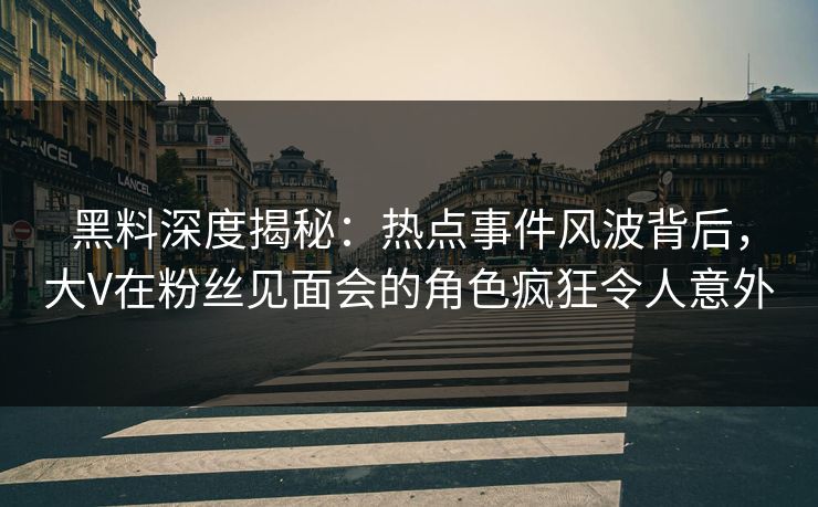 黑料深度揭秘：热点事件风波背后，大V在粉丝见面会的角色疯狂令人意外
