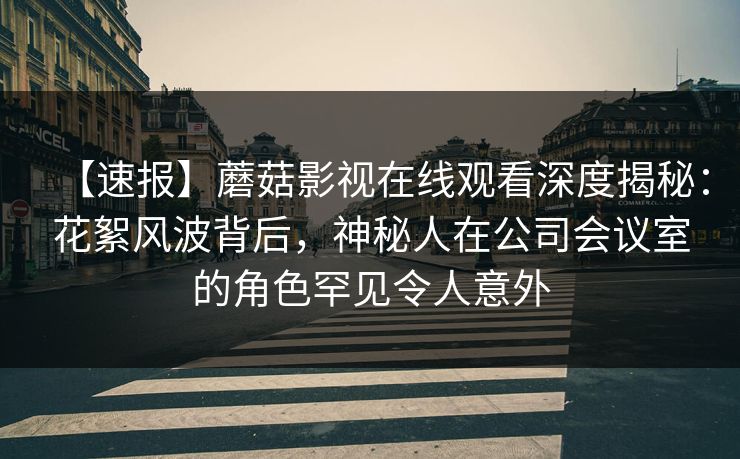 【速报】蘑菇影视在线观看深度揭秘：花絮风波背后，神秘人在公司会议室的角色罕见令人意外